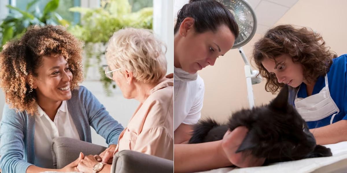Caregiver vs Veterinary Assistant