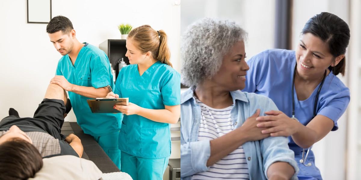 Chiropractic Assistant vs Licensed Vocational Nurse
