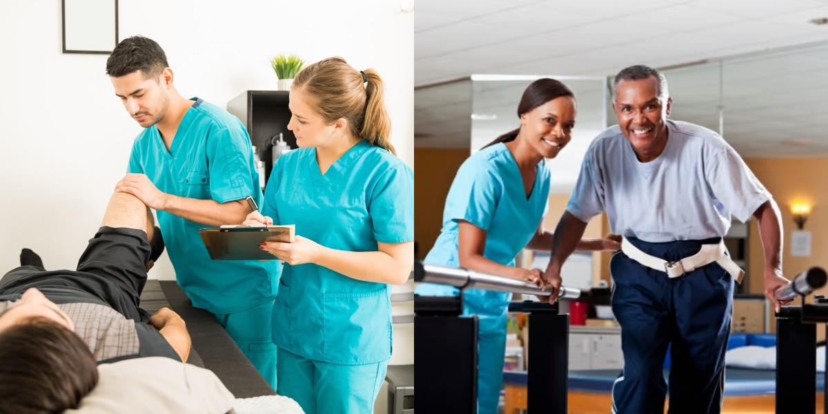Chiropractic Assistant vs Physical Therapy Technician