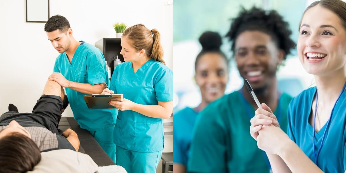 Chiropractic Assistant vs Registered Nurse