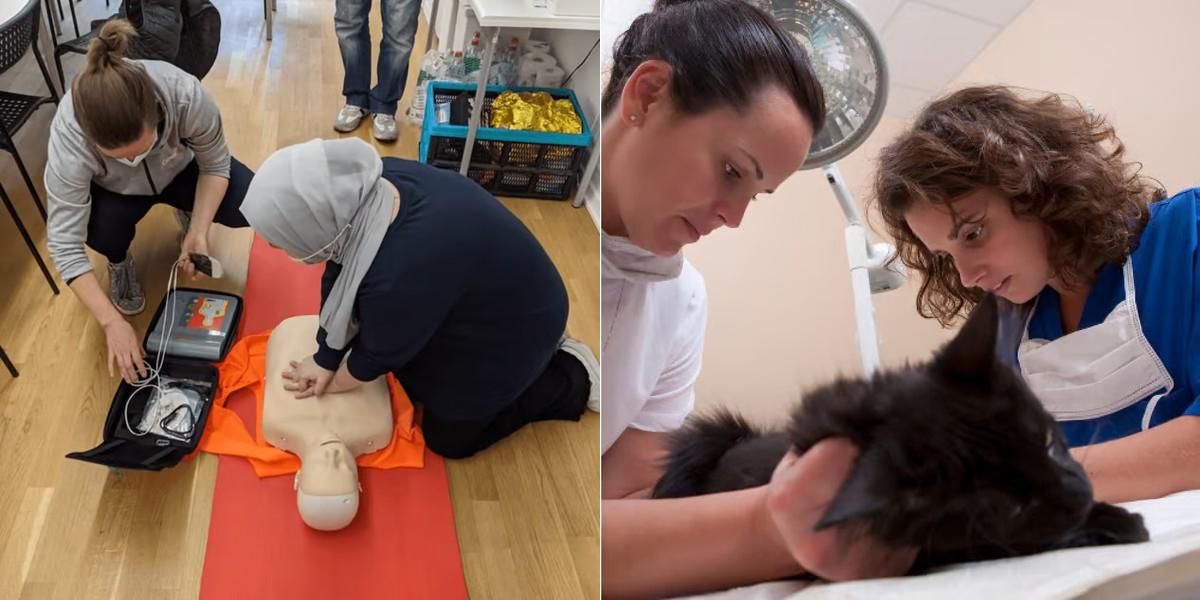 CPR-BLS vs Veterinary Assistant