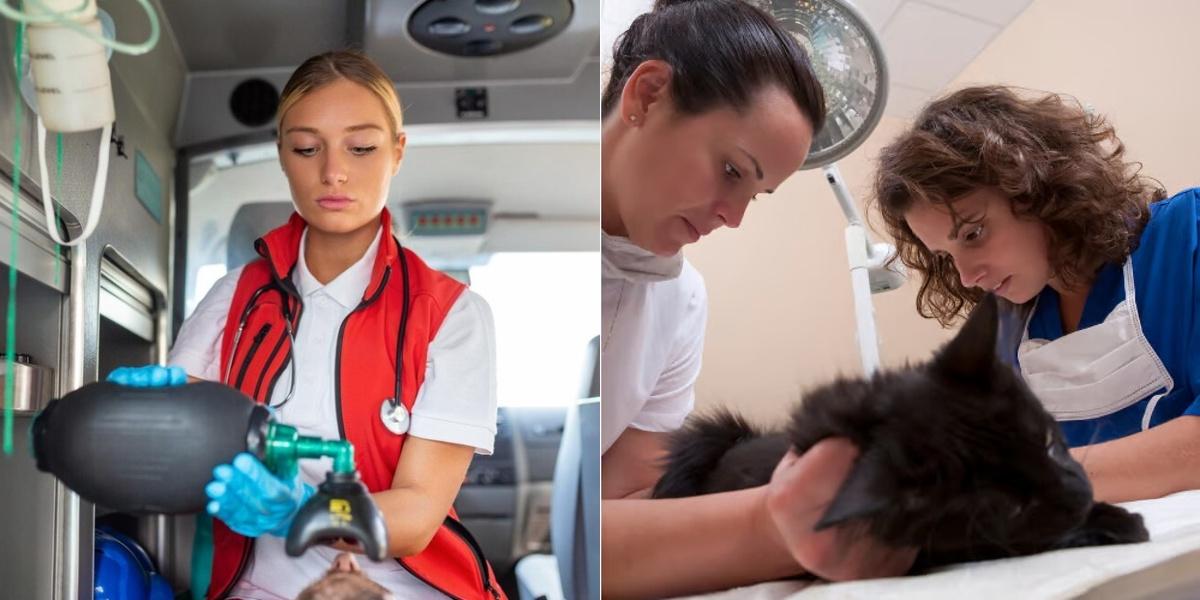 Emergency Medical Technician vs Veterinary Assistant
