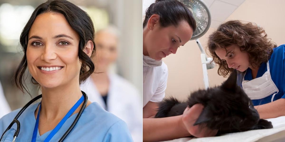 Graduate Nursing vs Veterinary Assistant