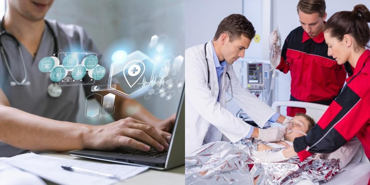 Healthcare Information Technology vs PALS