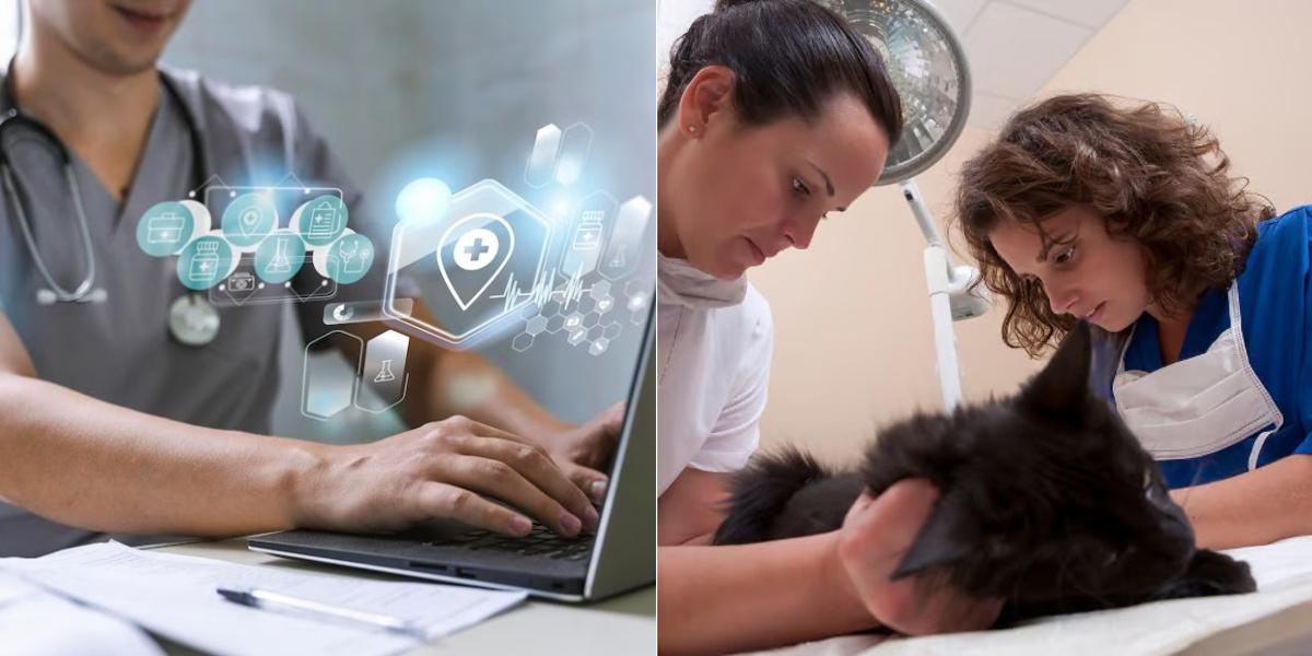 Healthcare Information Technology vs Veterinary Assistant