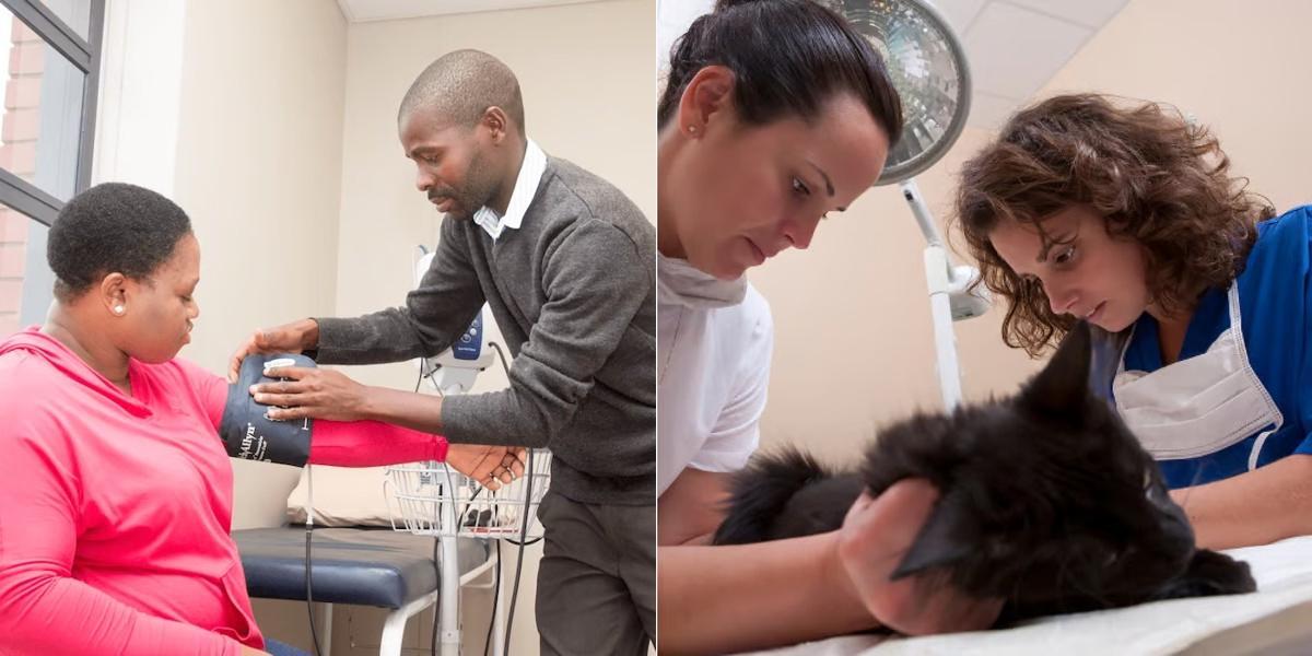 Medical Assistant vs Veterinary Assistant