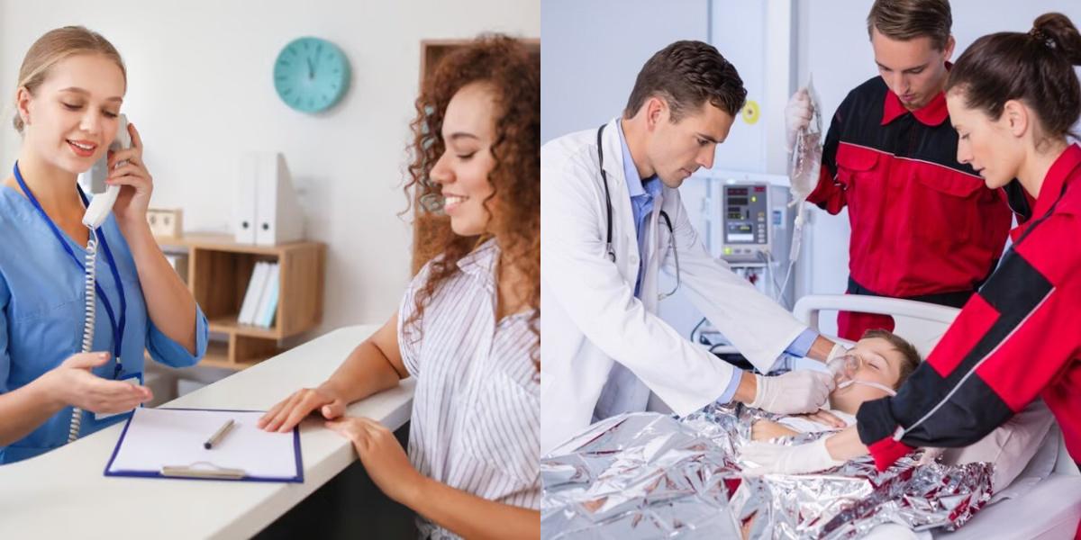 Medical Administrative Assistant vs PALS