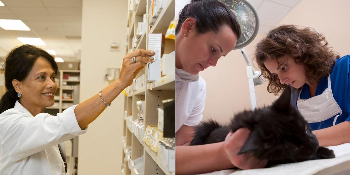 Pharmacy Technician vs Veterinary Assistant