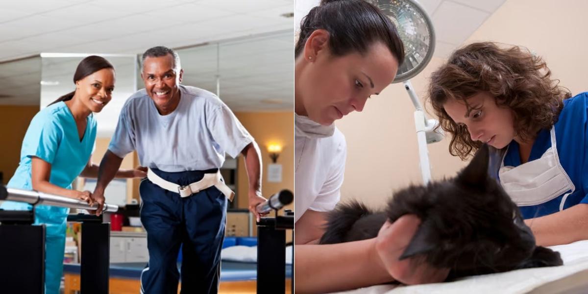 Physical Therapy Technician vs Veterinary Assistant