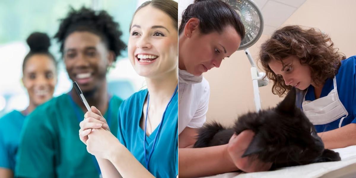 Registered Nurse vs Veterinary Assistant