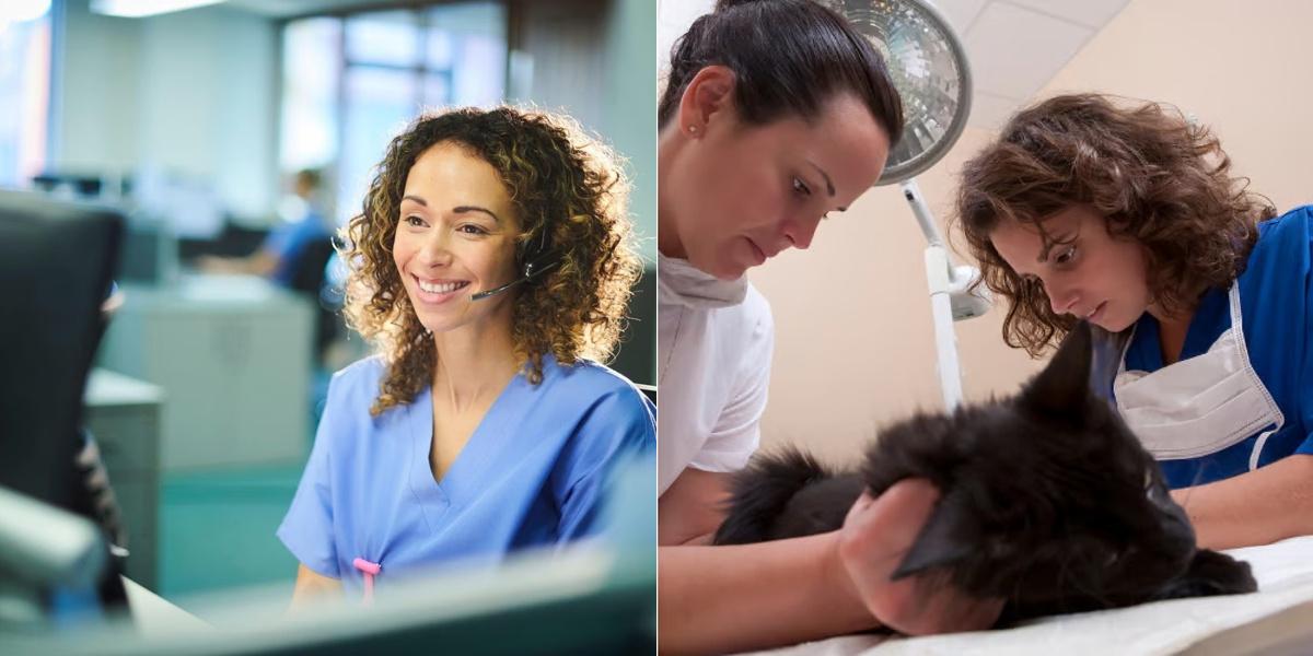 Healthcare Operator vs Veterinary Assistant