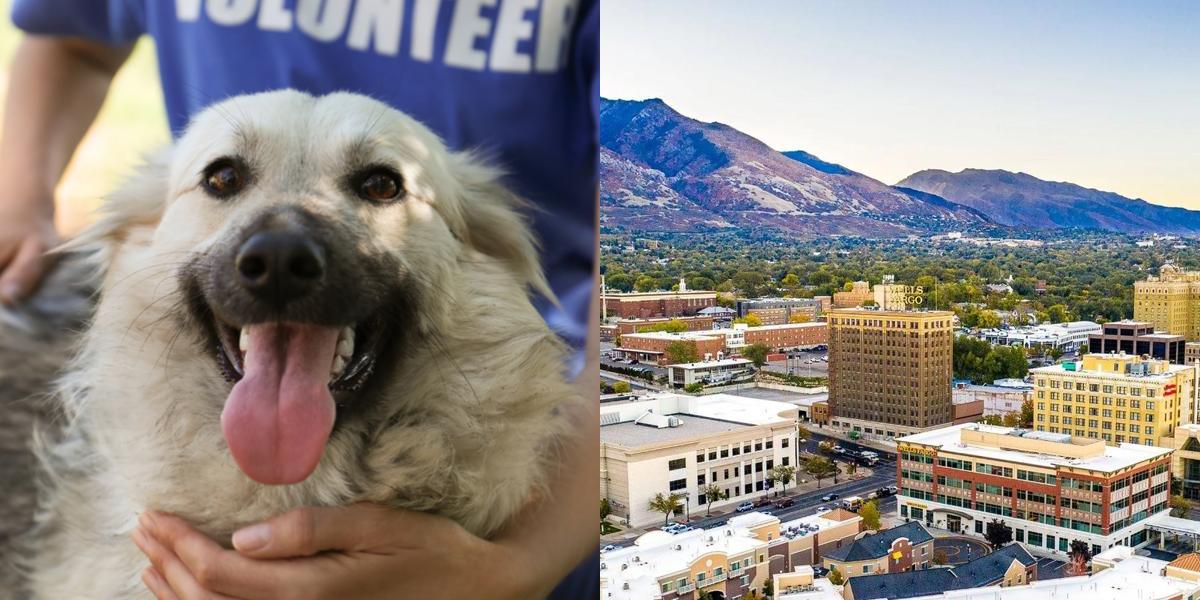 htba_Animal Welfare Administrator_in_Utah