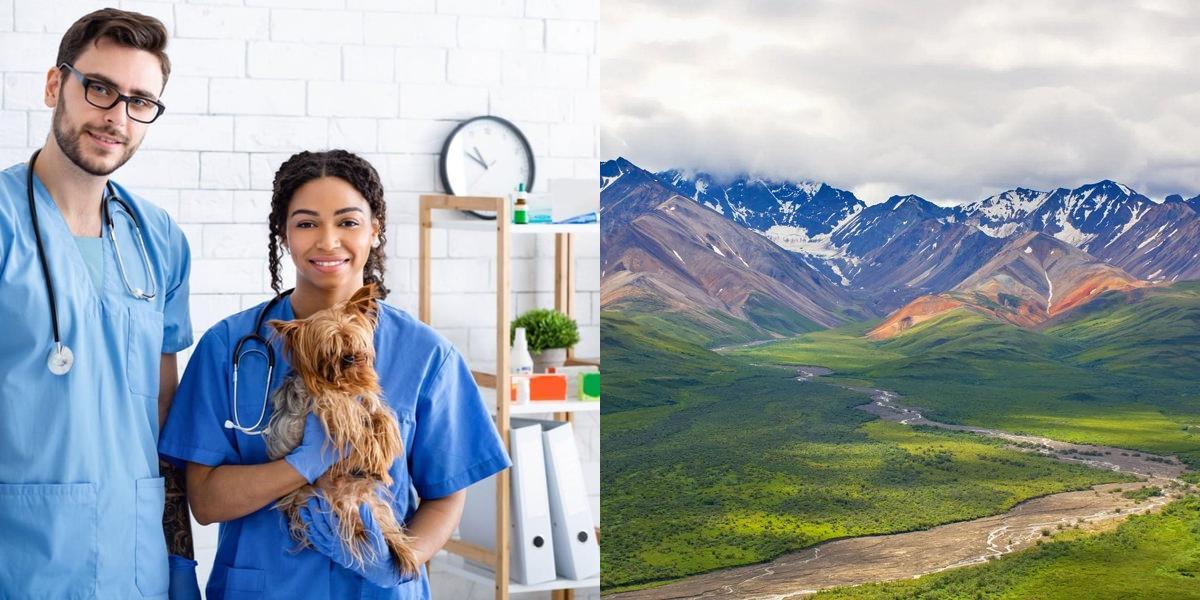 htba_Veterinary Assistant_in_Alaska