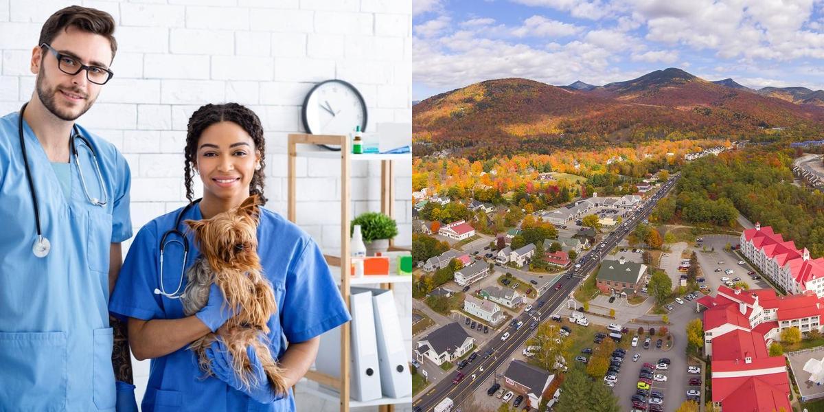 htba_Veterinary Assistant_in_New Hampshire