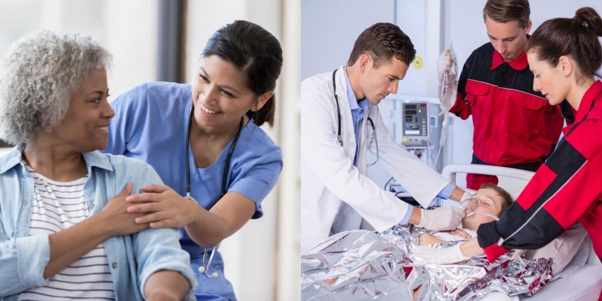 Licensed Vocational Nurse vs PALS
