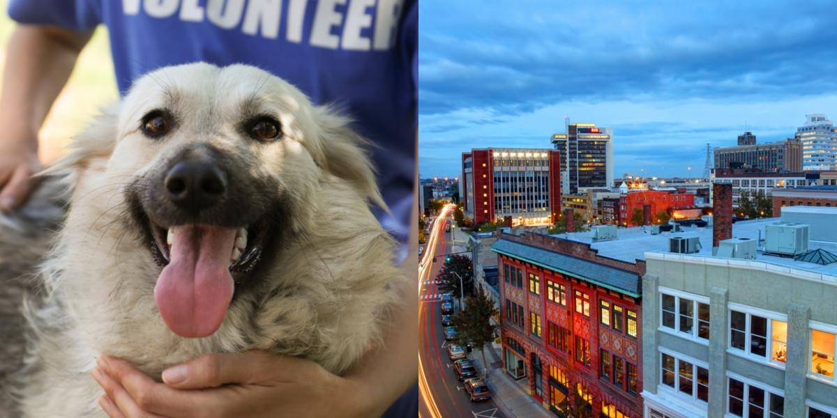 htba_Animal Welfare Administrator_in_Connecticut