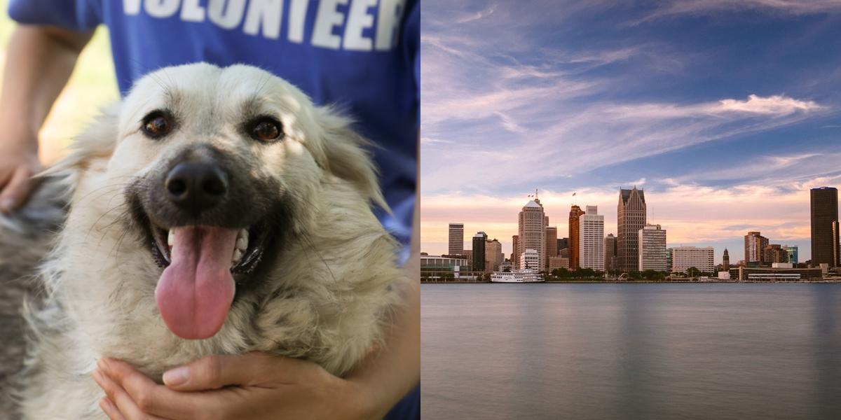 htba_Animal Welfare Administrator_in_Michigan