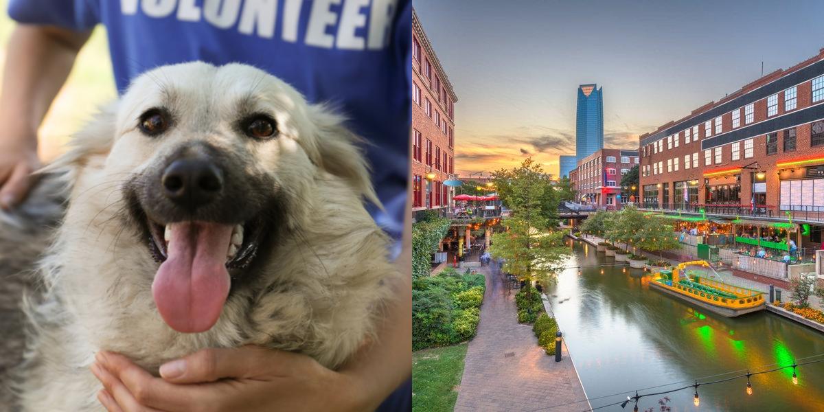 htba_Animal Welfare Administrator_in_Oklahoma