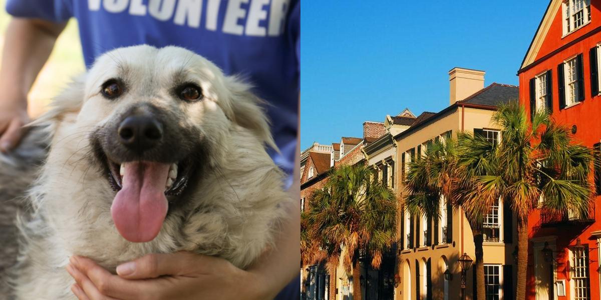 htba_Animal Welfare Administrator_in_South Carolina