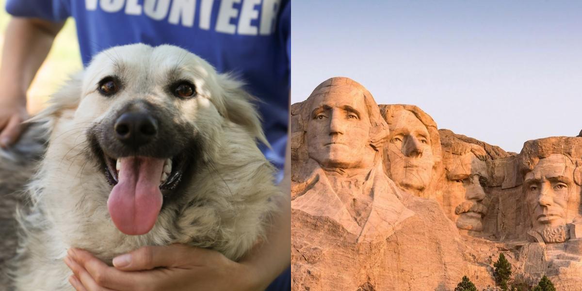 htba_Animal Welfare Administrator_in_South Dakota
