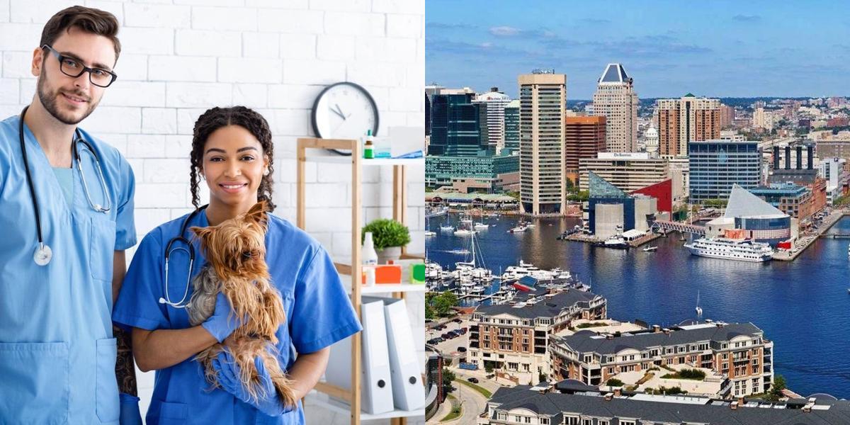 htba_Veterinary Assistant_in_Maryland
