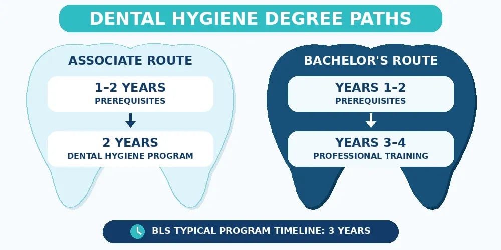A Dental Hygiene Degree Paths diagram: the associate route is 1 to 2 years of prerequisites then a 2-year program; the bachelor's route is prerequisites in years 1 and 2 then training in years 3 and 4, with a 3-year BLS program timeline.