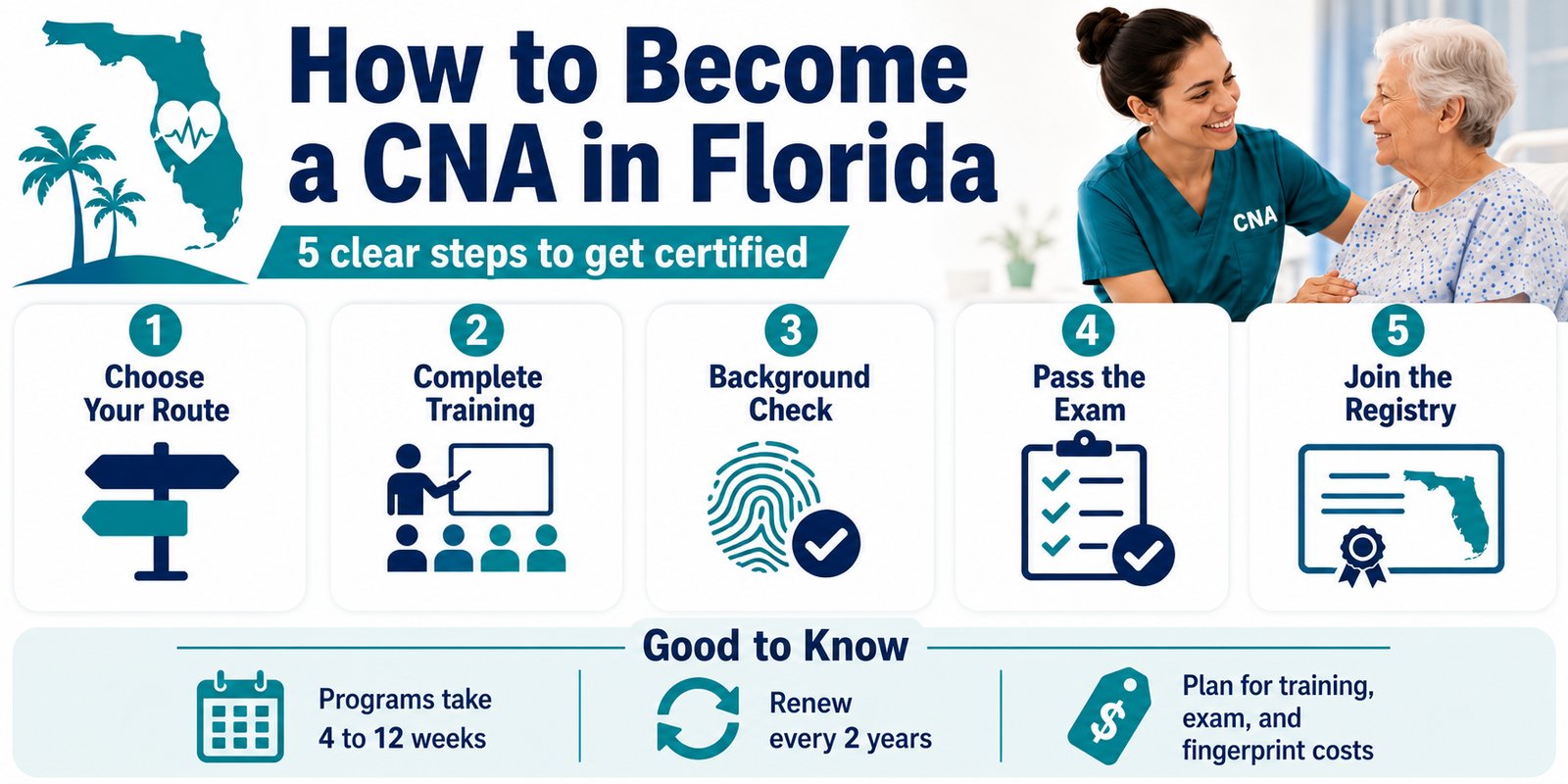 Florida CNA certification guide showing the 5 required steps and key timeline, renewal, and cost facts below.