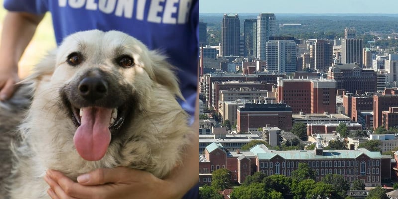 htba_Animal Welfare Administrator_in_Alabama