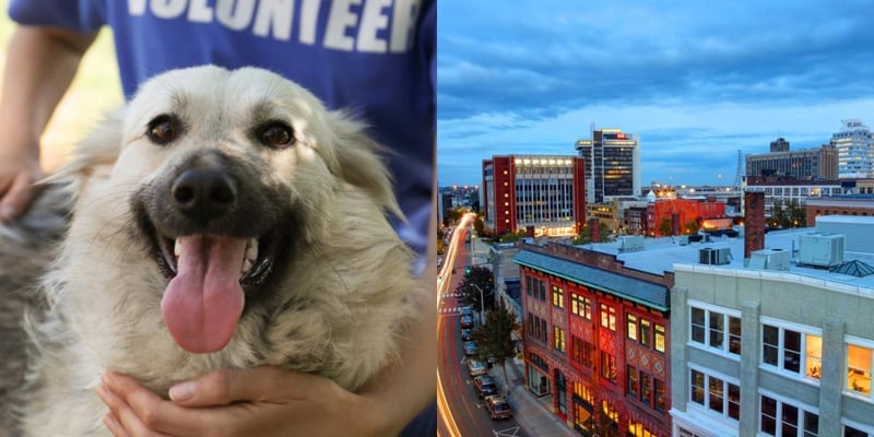 htba_Animal Welfare Administrator_in_Connecticut