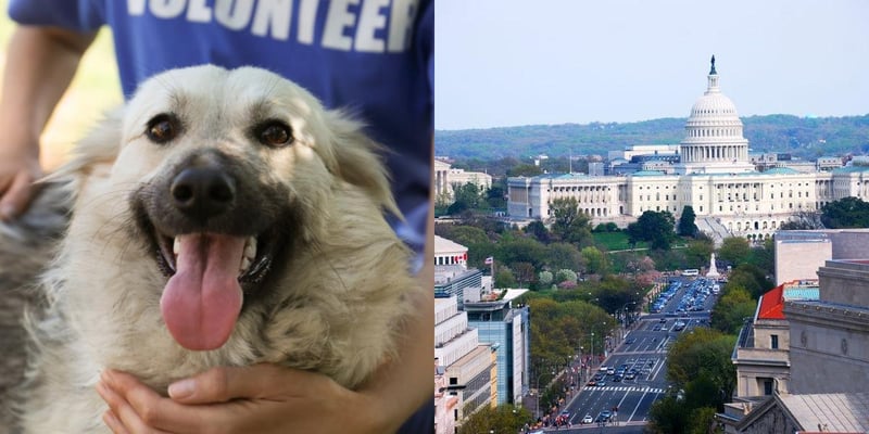 htba_Animal Welfare Administrator_in_District of Columbia