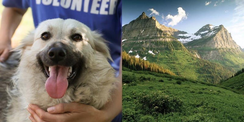 htba_Animal Welfare Administrator_in_Montana
