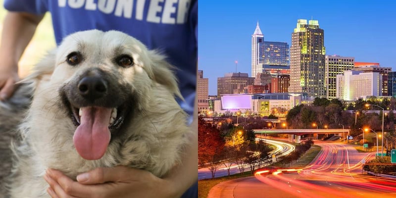 htba_Animal Welfare Administrator_in_North Carolina