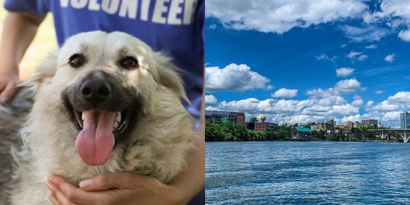htba_Animal Welfare Administrator_in_Tennessee