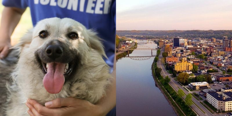 htba_Animal Welfare Administrator_in_West Virginia