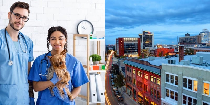 htba_Veterinary Assistant_in_Connecticut